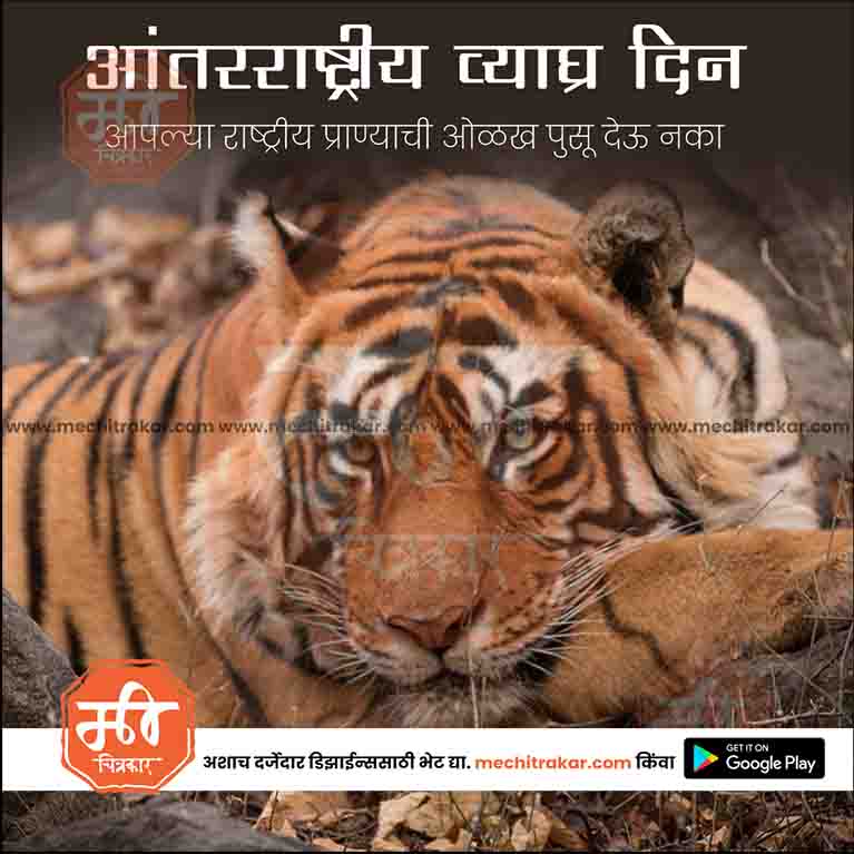 Load image into Gallery viewer, International Tiger Day PSD celebration design
