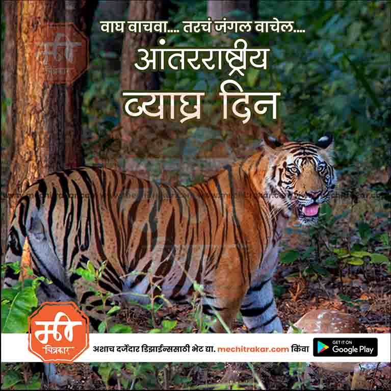 Load image into Gallery viewer, International Tiger Day graphic in JPG format
